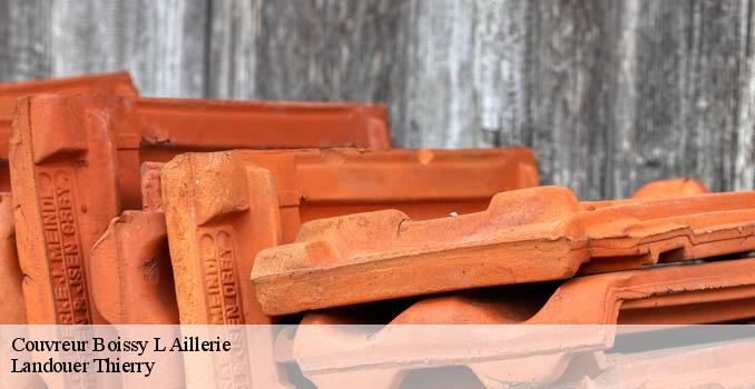 Couvreur boissy-l-aillerie-95650 Landouer Thierry