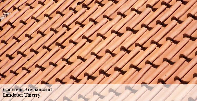 Couvreur brignancourt-95640 Landouer Thierry