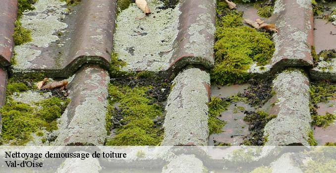 Nettoyage demoussage de toiture 95 Val-d'Oise Artisan Lafleur, Couvreur 95
