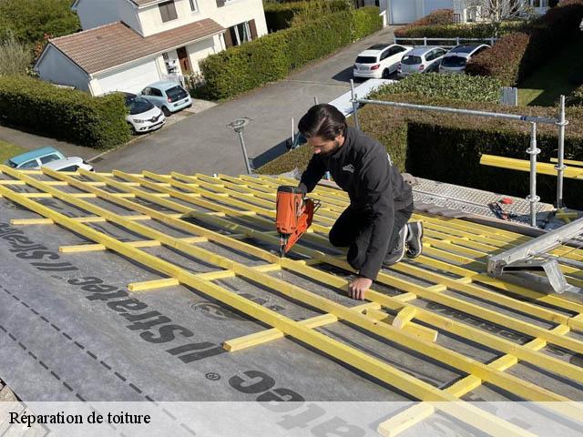 Réparation de toiture 95 Val-d'Oise  Artisan Lafleur, Couvreur 95