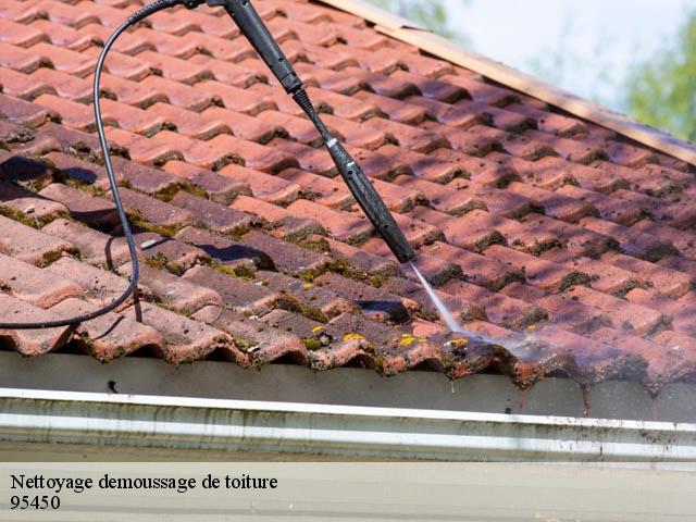 Nettoyage demoussage de toiture  ableiges-95450 Artisan Lafleur, Couvreur 95