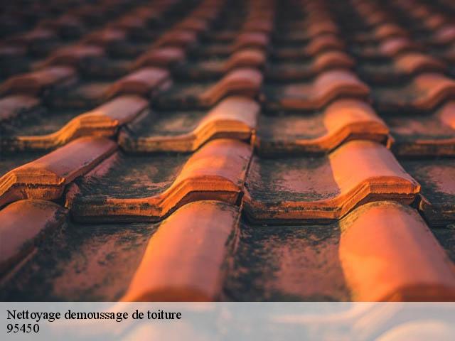Nettoyage demoussage de toiture  ableiges-95450 Artisan Lafleur, Couvreur 95