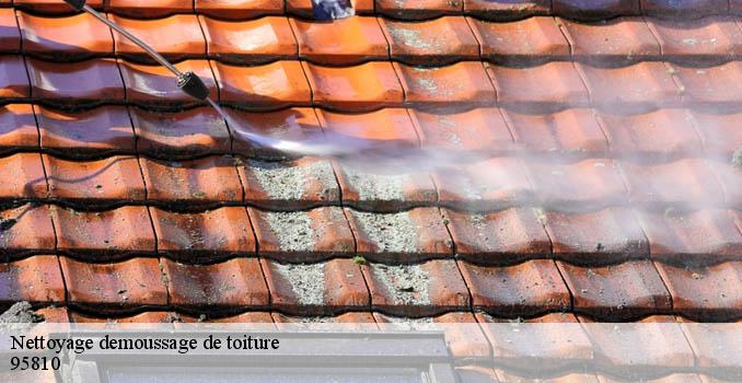 Nettoyage demoussage de toiture arronville-95810 Landouer Thierry