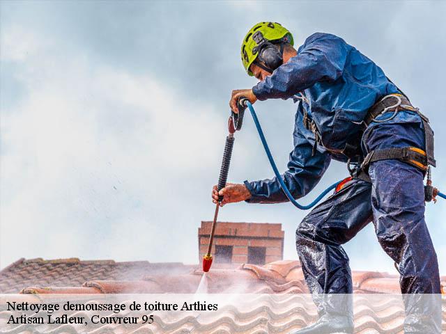 Nettoyage demoussage de toiture  arthies-95420 Artisan Lafleur, Couvreur 95