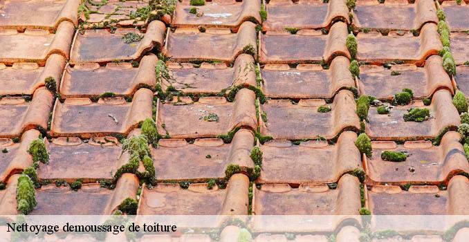 Nettoyage demoussage de toiture  bethemont-la-foret-95840 Artisan Lafleur, Couvreur 95