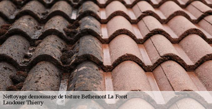 Nettoyage demoussage de toiture bethemont-la-foret-95840 Landouer Thierry