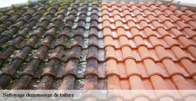 Nettoyage demoussage de toiture  cergy-95000 Artisan Lafleur, Couvreur 95