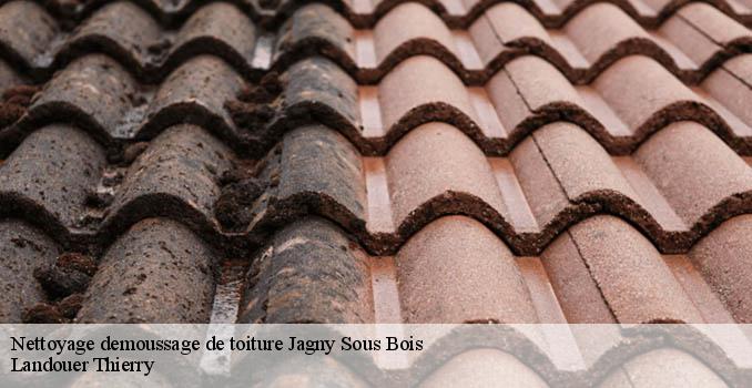 Nettoyage demoussage de toiture jagny-sous-bois-95850 Landouer Thierry