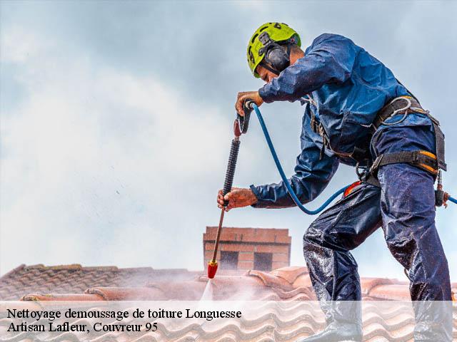 Nettoyage demoussage de toiture  longuesse-95450 Artisan Lafleur, Couvreur 95