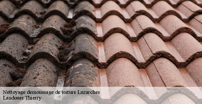 Nettoyage demoussage de toiture luzarches-95270 Landouer Thierry