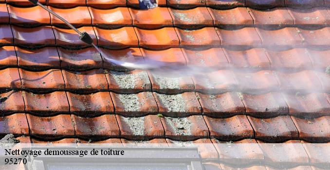 Nettoyage demoussage de toiture luzarches-95270 Landouer Thierry