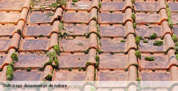 Nettoyage demoussage de toiture luzarches-95270 Landouer Thierry