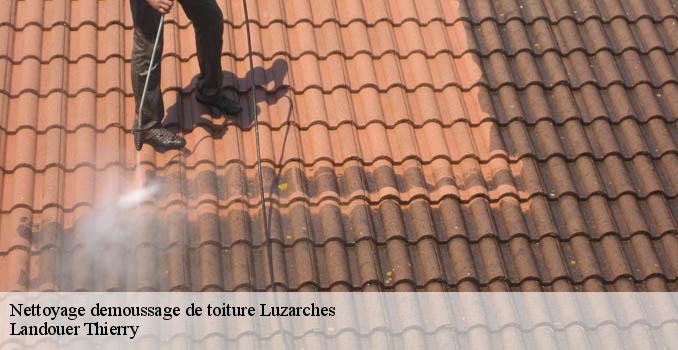 Nettoyage demoussage de toiture luzarches-95270 Landouer Thierry