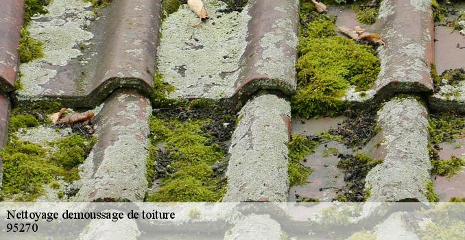 Nettoyage demoussage de toiture luzarches-95270 Landouer Thierry