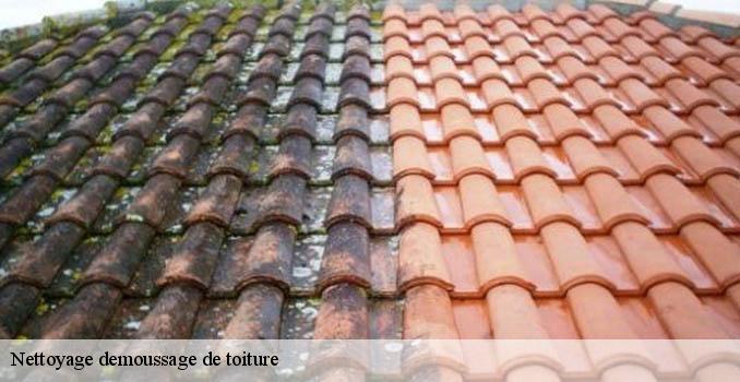Nettoyage demoussage de toiture luzarches-95270 Landouer Thierry