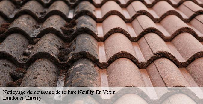 Nettoyage demoussage de toiture neuilly-en-vexin-95640 Landouer Thierry