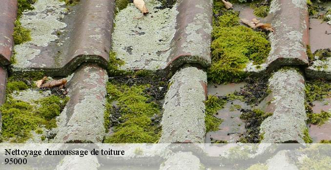 Nettoyage demoussage de toiture neuville-sur-oise-95000 Landouer Thierry