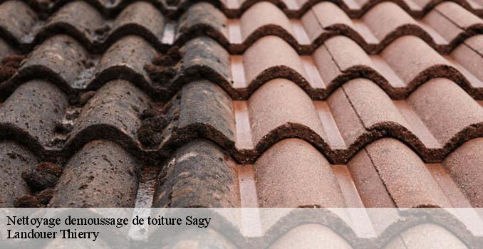 Nettoyage demoussage de toiture sagy-95450 Landouer Thierry