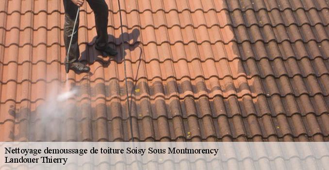 Nettoyage demoussage de toiture soisy-sous-montmorency-95230 Landouer Thierry
