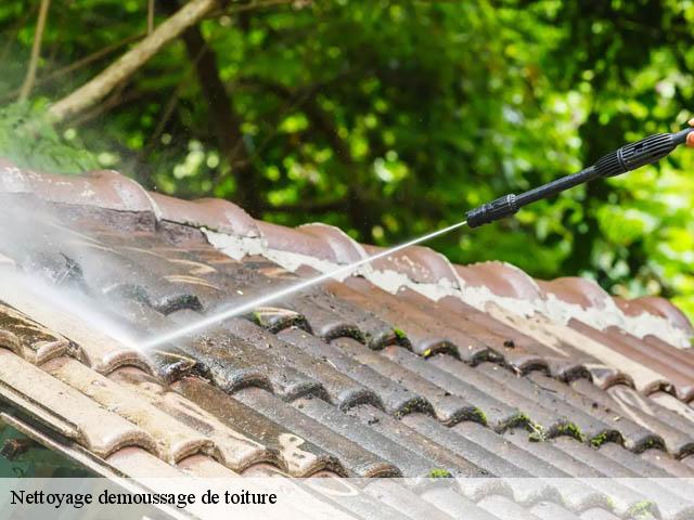 Nettoyage demoussage de toiture  villers-en-arthies-95510 Artisan Lafleur, Couvreur 95
