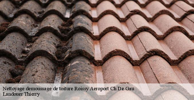 Nettoyage demoussage de toiture roissy-aeroport-ch-de-gau-95700 Landouer Thierry