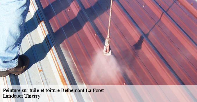 Peinture sur tuile et toiture  bethemont-la-foret-95840 Artisan Lafleur, Couvreur 95