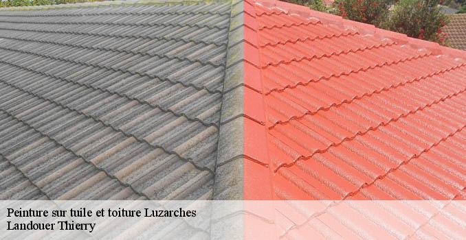 Peinture sur tuile et toiture  luzarches-95270 Landouer Thierry