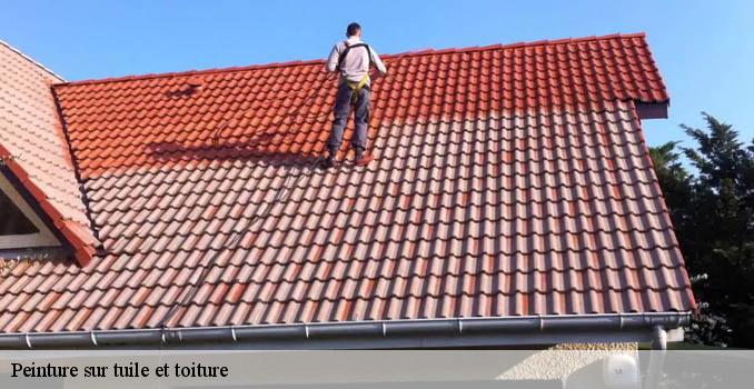 Peinture sur tuile et toiture  luzarches-95270 Landouer Thierry