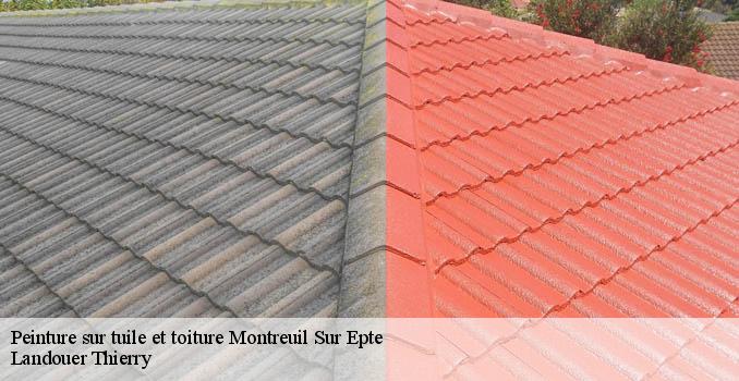 Peinture sur tuile et toiture montreuil-sur-epte-95770 Landouer Thierry