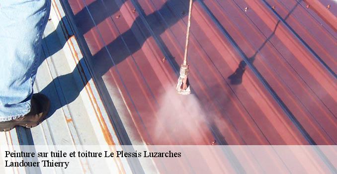 Peinture sur tuile et toiture le-plessis-luzarches-95270 Landouer Thierry