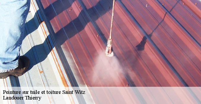 Peinture sur tuile et toiture  saint-witz-95470 Artisan Lafleur, Couvreur 95