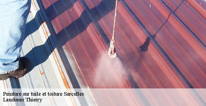 Peinture sur tuile et toiture sarcelles-95200 Landouer Thierry