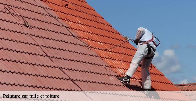 Peinture sur tuile et toiture soisy-sous-montmorency-95230 Landouer Thierry