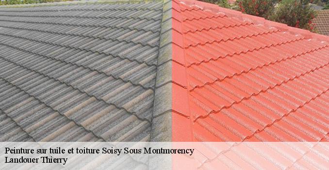 Peinture sur tuile et toiture soisy-sous-montmorency-95230 Landouer Thierry