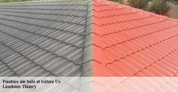 Peinture sur tuile et toiture  us-95450 Landouer Thierry