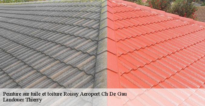Peinture sur tuile et toiture  roissy-aeroport-ch-de-gau-95700 Landouer Thierry