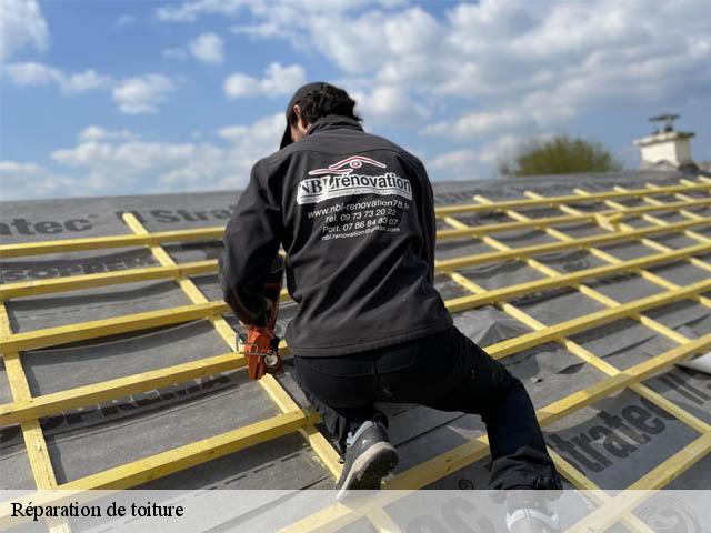 Réparation de toiture  ableiges-95450 Artisan Lafleur, Couvreur 95