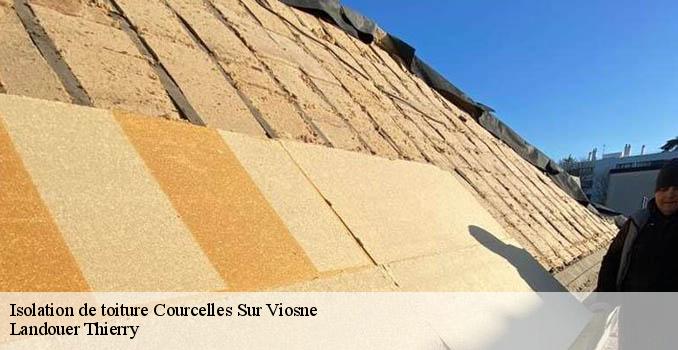 Isolation de toiture courcelles-sur-viosne-95650 Landouer Thierry