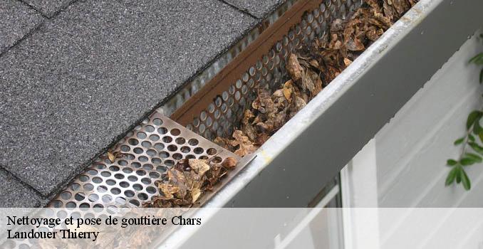 Nettoyage et pose de gouttière chars-95750 Landouer Thierry