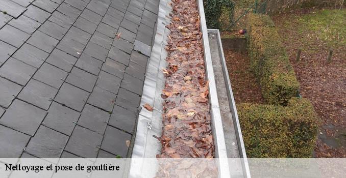 Nettoyage et pose de gouttière luzarches-95270 Landouer Thierry
