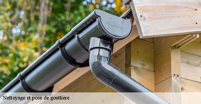 Nettoyage et pose de gouttière villaines-sous-bois-95570 Landouer Thierry