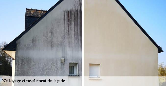Nettoyage et ravalement de façade  arnouville-les-gonesse-95400 Landouer Thierry