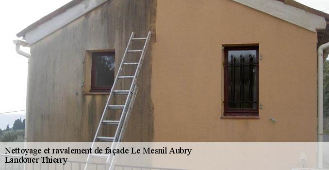 Nettoyage et ravalement de façade le-mesnil-aubry-95720 Landouer Thierry