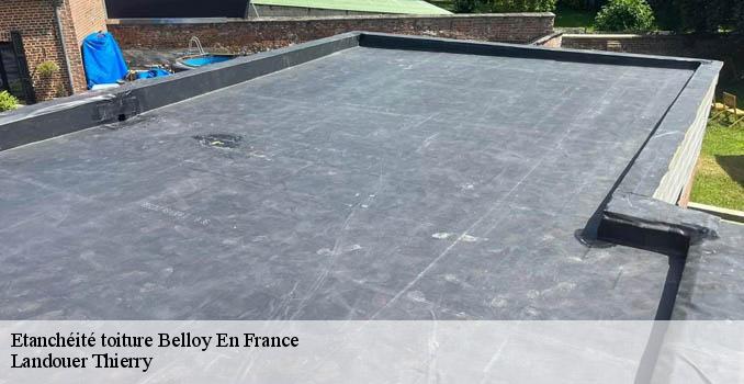 Etanchéité toiture  belloy-en-france-95270 Landouer Thierry