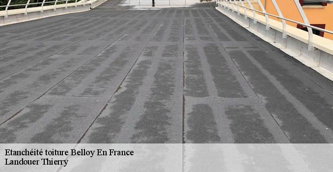 Etanchéité toiture  belloy-en-france-95270 Landouer Thierry