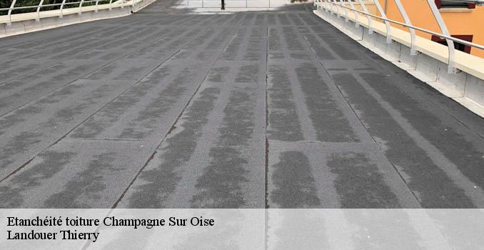 Etanchéité toiture  champagne-sur-oise-95660 Landouer Thierry
