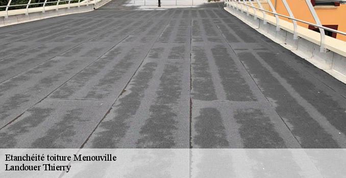 Etanchéité toiture menouville-95810 Landouer Thierry