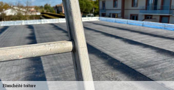 Etanchéité toiture pontoise-95000 Landouer Thierry