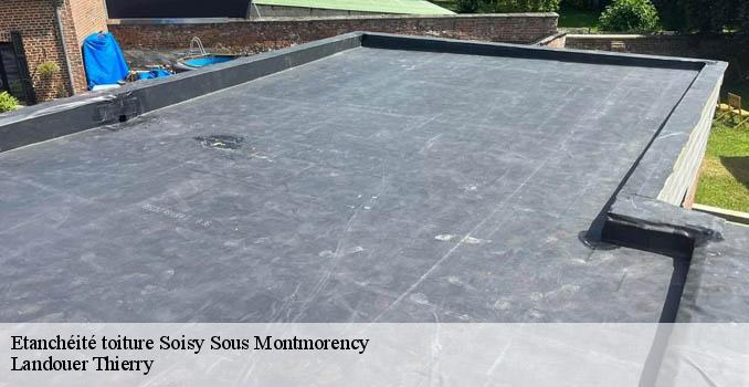 Etanchéité toiture  soisy-sous-montmorency-95230 Landouer Thierry