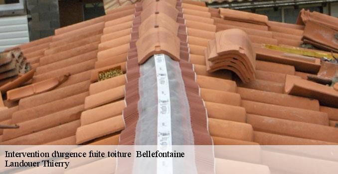 Intervention d'urgence fuite toiture bellefontaine-95270 Landouer Thierry